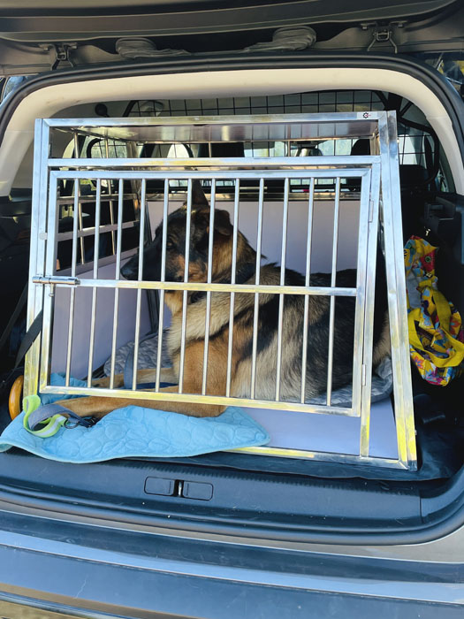 Cage Chien - Le spécialiste de la cage de transport pour chiens